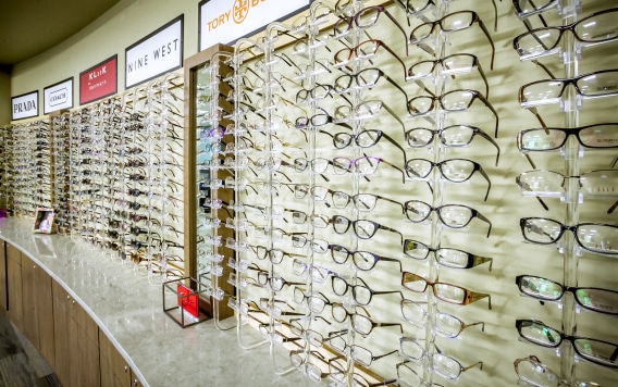 , Optical Shop, Vold Vision