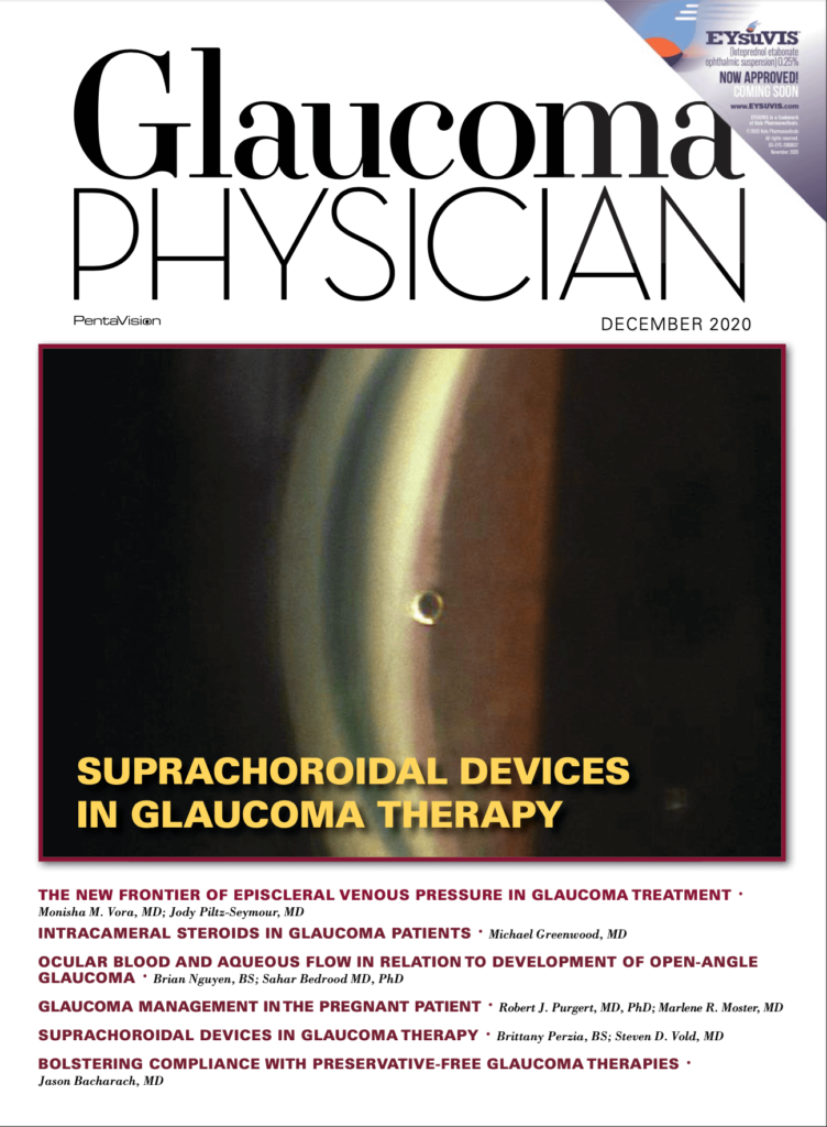 , Suprachoroidal Devices in Glaucoma Therapy, Vold Vision